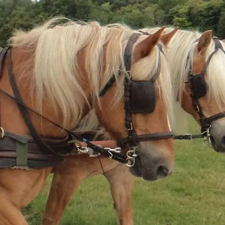 Maison Charentaise Avec Cheminee, Jardin Et Animaux Acceptes - Fr-1-653-221 펜션