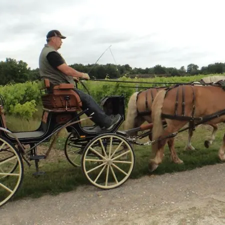 Casa di campagna Maison Charentaise Avec Jardin Privé, Animaux Admis - Fr-1-653-221 Saint-Sulpice-de-Cognac