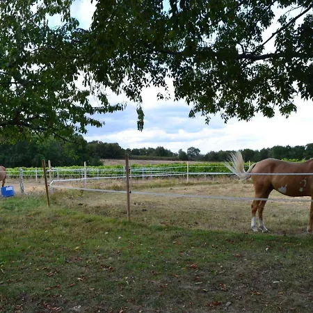 Maison Charentaise Avec Cheminee, Jardin Et Animaux Acceptes - Fr-1-653-221 펜션 Saint-Sulpice-de-Cognac