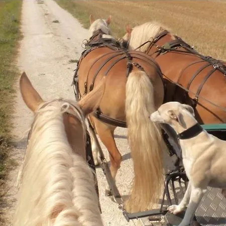 펜션 Maison Charentaise Avec Cheminee, Jardin Et Animaux Acceptes - Fr-1-653-221