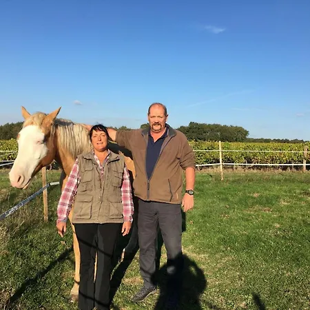 Maison Charentaise Avec Cheminee, Jardin Et Animaux Acceptes - Fr-1-653-221 Saint-Sulpice-de-Cognac